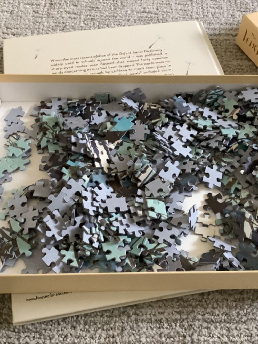 Bundle: The Lost Words Book and Puzzle - Picture 11 of 13